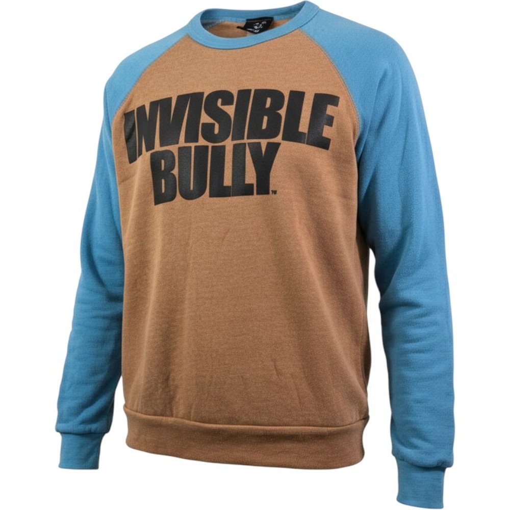 Invisible Bully Mens Raglan Graphic Sweatshirt Brown Blue Size S NEW